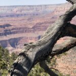 Counseling in Vancouver Wa